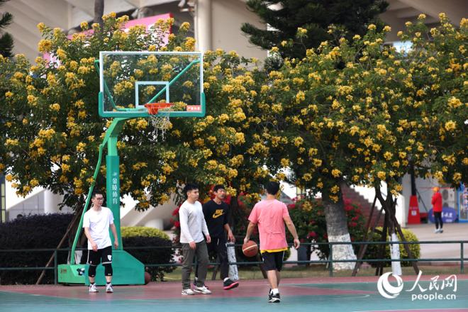 住宅项目开发人均运动场空中积居天下同类都会前三 厦门尽力促进大众身旁运动场地设备(图3)